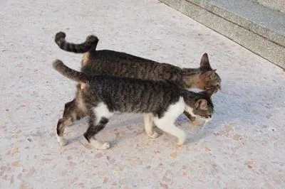 ベストワースト
